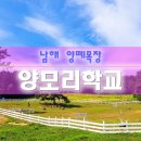 남해-256 네이버블로그