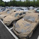 하추리 하천변 이미지