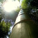 맹종죽테마공원 이미지