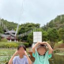 황포돛배 선착장 | [안동] 황포돛배｜안동 월영교 황포돛배 후기 아이와 함께 가볼 만한 곳 여행 코스 볼거리 추천