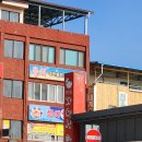 묵호항 | 겨울 강원도 여행 I 제철 대게 가격 묵호항 수산시장 다녀온 후기