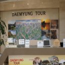 대명리조트스포츠센터 이미지