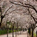 새말빗물펌프장 이미지