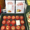 영주 행사장 감홍 사과 맛있네요!! 이미지