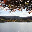 서울대공원 캠핑장 이미지