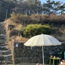 우리존 농산 | [애견동반캠핑] 뚜바뚜바 김포 월곶면 반려동물 동반 가능한 서울 근교 당일 캠핑장 내돈내산 솔직리뷰