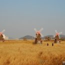 소소한풍경 이미지