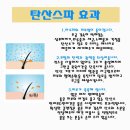 잔다냥 이미지