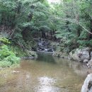 곰배령식당 이미지