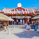 짐엑스 신사시장점 | 오키나와 자유여행 가볼만한곳, 국제거리 시장 관광 명소 나미노우에 신사