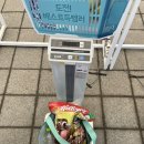2024 장보기 오픈런 후기, 배민런 얼리버드 그게 나야~ 장바구니 가득 담고 뛴 후기!