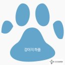 김천연합동물병원 이미지