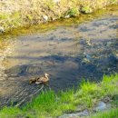 갈매천공원화장실 이미지