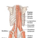 밸류 PT & 필라테스 이미지