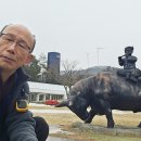 노송목장 이미지