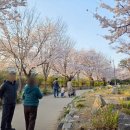 상동호수공원 | 부천 상동호수공원 벚꽃 놀이터 아이랑 갈만한곳