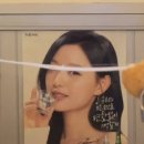 서핑하닭