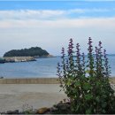 여수 갈치한상 이미지