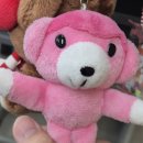 시래 양봉 | 5 nights at school's