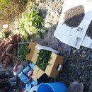 동서농장 이미지