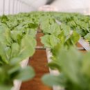 흥덕농장 이미지