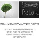 스트레스파이터 이미지