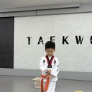 힘차리 태권도장 이미지