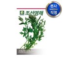 영채농장 쇼핑하우