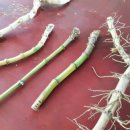 몽뜰리에 이미지