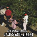 제비농장 | 제주 귤따기체험 히피웅 감귤체험농장에서 온 가족 추억 만들기