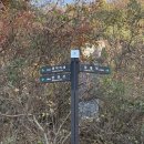 무등차목장 | 화순에서 광주 무등산 코스 (장불재) 등린이 기준 소요시간, 주차 등 상세 후기