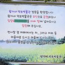 왕가네약초
