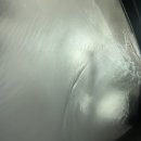 터틀프렌즈백마세차장 이미지