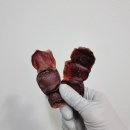 202펫푸드 이미지