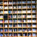 지혜의숲 이미지