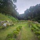 중대목장 | 용인·곤지암 지역 수목장 비교, 가족이 함께 모시기 좋은 곳은?