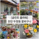 [글린트플라워] 천안 두정동 꽃다발 꽃바구니 내돈내산 솔직후기