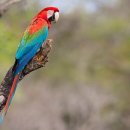 아우름 동물병원 이미지