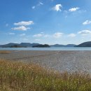 신기마을버스 정류장 이미지