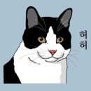 헐