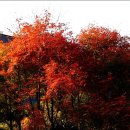 무심교옆 이미지