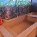 호시카게 료칸호텔 이미지