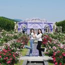 로즈F&B