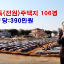 소로3-106 Daum카페