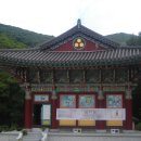 불당골2 Daum카페