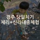 대종농장 | 6월은 체리의 계절! 경주 서백농원 체험 + 신라대종 당일치기 코스 추천
