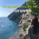 지구별댕댕이 | 이탈리아 남부투어 로마 출발 폼페이 포지타노 하루 여행