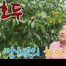 흥농상회 이미지