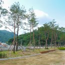 명호중학교 이미지