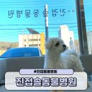 진접솔동물병원 이미지